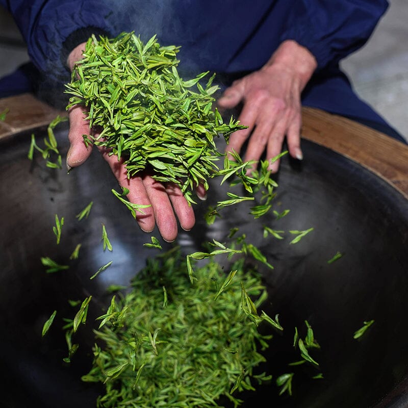 Brewing Green Tea – West Lake Longjing: An Elegant Guide from Technique to Tasting