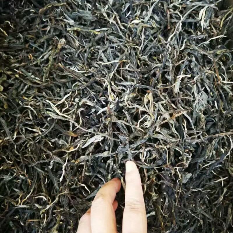 Teaching Document on Brewing Method of BaoShan Old Tree Raw Pu'er Tea