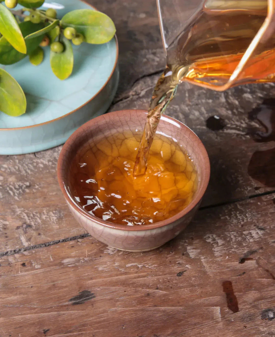 Experienced Tenmoku enthusiasts share 10 key tips to avoid deception