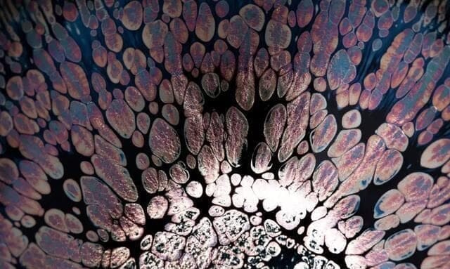 Cultivating colorful light with Tenmoku over the years