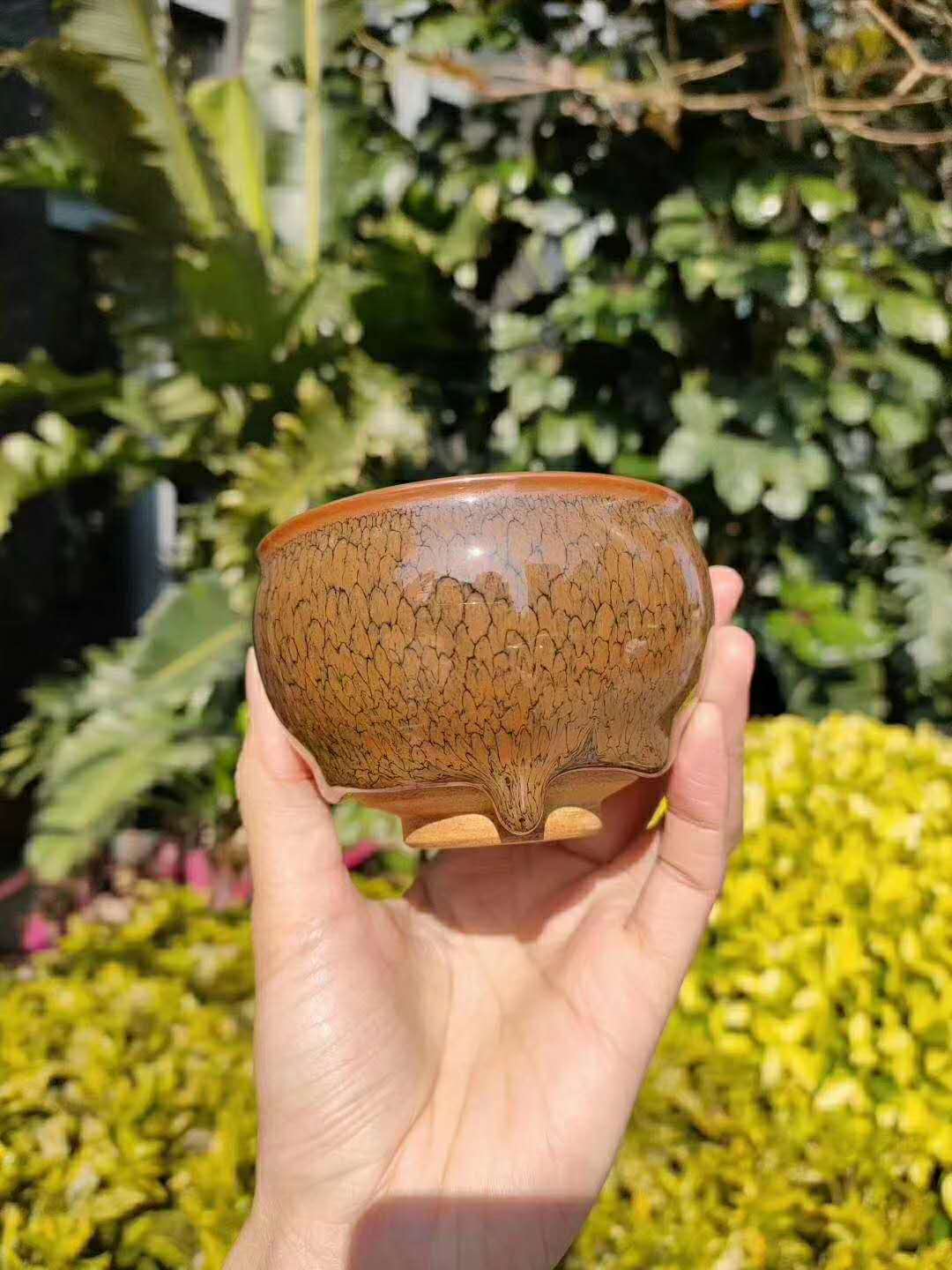 The correct method to open a Yixing teapot