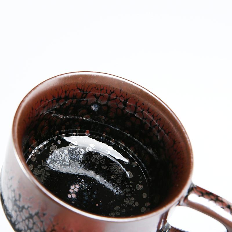 Succulent Coffee Mug Tea Cup Tenmokus