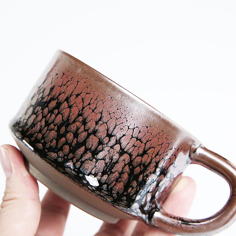Succulent Coffee Mug Tea Cup Tenmokus