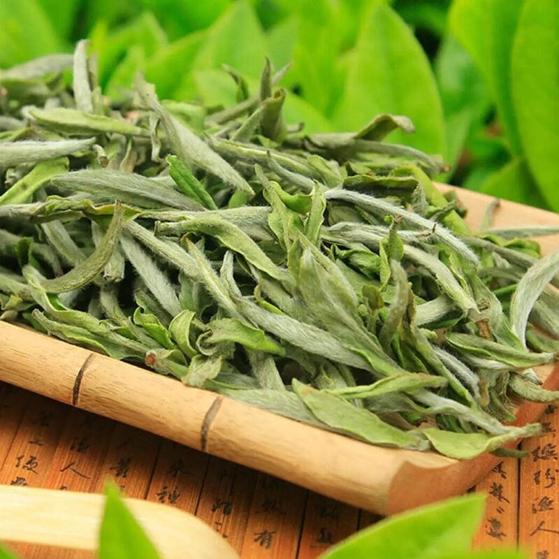 Brewing White Tea – Silver Needle (Part I): From Variety Cognition to Basic Brewing Guide