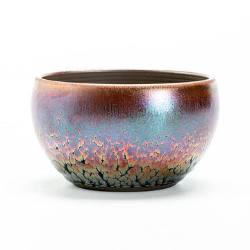 Succulent Matcha Bowl Matcha Bowls Tenmokus product image